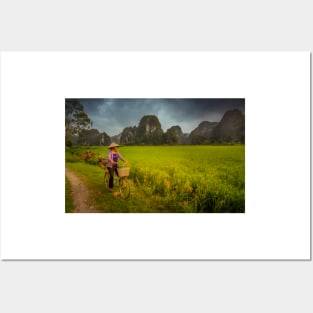 Vietnam rural scene near Tam Coc Posters and Art